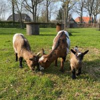 Hoeve Sonneclaer